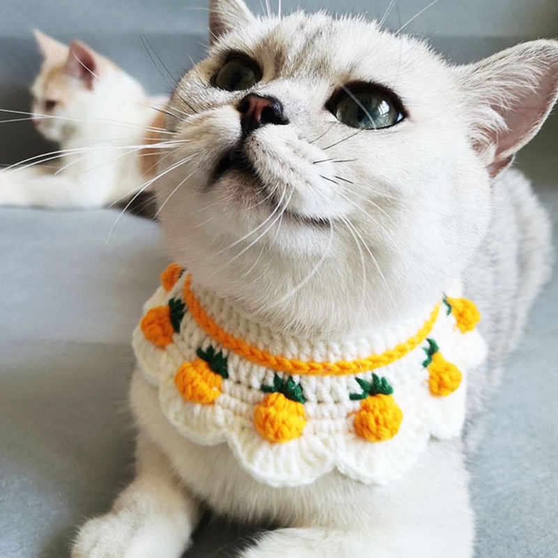 Yếm Dứa + Yếm Cherry cho Thú cưng