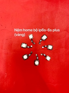 Nút home bộ iphone 6G-6plus-6S-6s plus