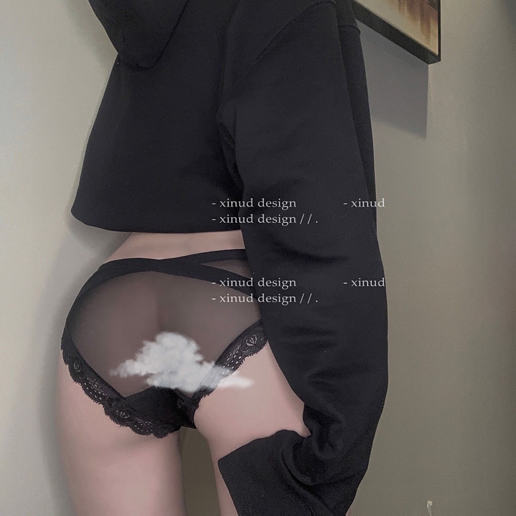 Quần Lót Nữ - Quần Lót Ren Nữ Cạp Chéo mềm mại sexy quyến rũ DAN STORE Mã 889