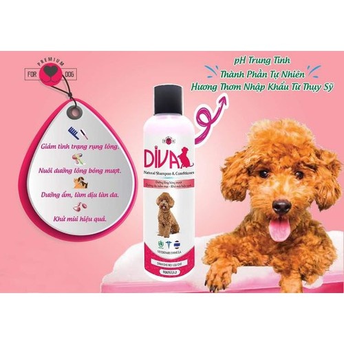 Sữa tắm chó Poodle, sữa tắm Diva hồng dưỡng ẩm khử mùi