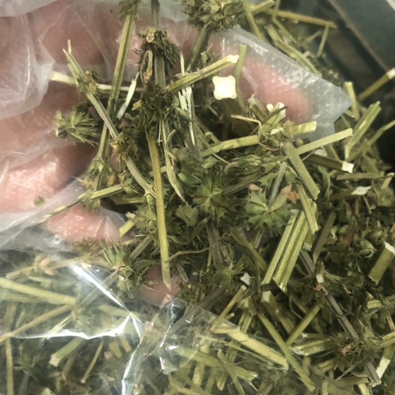 Cây ích mẫu khô nhà trồng, chuẩn sạch 100%