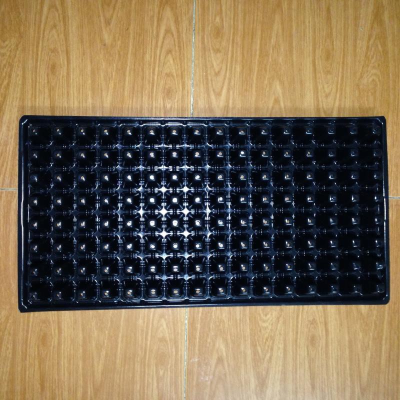 Hộp 150 khay ươm cây (Dày 1mm, nặng 120g), khay ươm hạt, vỉ ươm rau (128 lỗ)