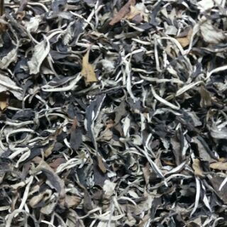 Bạch trà mẫu đơn đóng gói 200g