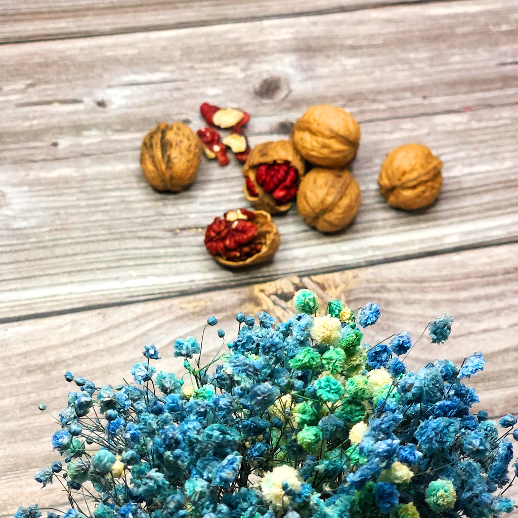 Óc Chó Đỏ Hartley Mỹ 500g nguyên vỏ - Hàng Nhập Khẩu Thượng Hạng [Tặng Kìm Tách Vỏ]  Dinh dưỡng HANI FOOD