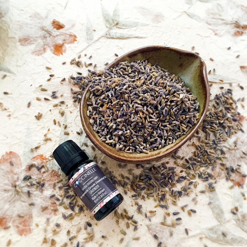 Tinh Dầu Oải Hương Coccinelle 10ml- Lavender Essential Oil 10ml