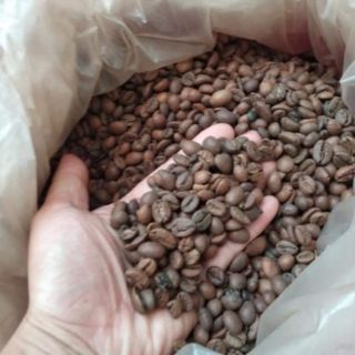 1 Kg cà phê hạt Đăk Lăk rang mộc