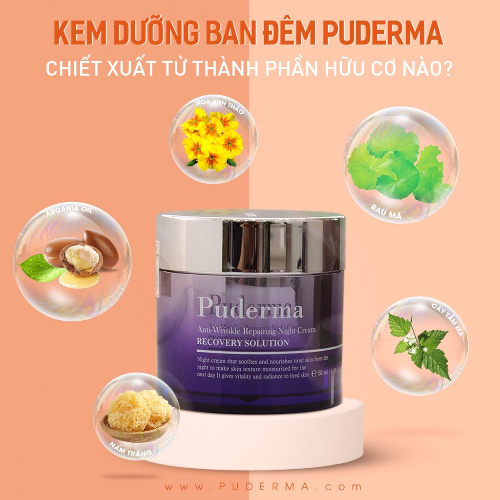 Kem Dưỡng Da Ban Đêm Puderma Cung Cấp Độ Ẩm Và Dưỡng Chất, Giúp Làm Giảm Nếp Nhăn, Mang Lại Làn Da Trắng, Mịn Màng