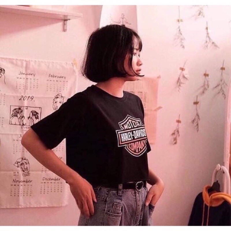 [Mã FAMAYWA giảm 10K đơn 50K] [ FreeShip Bill từ 50k ] Áo croptop cộc tay dưới 55kg - motor harley | BigBuy360 - bigbuy360.vn