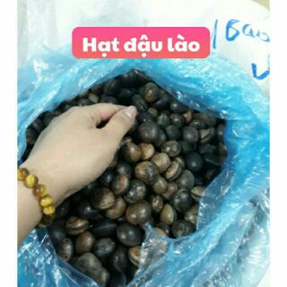 Hạt đậu lào