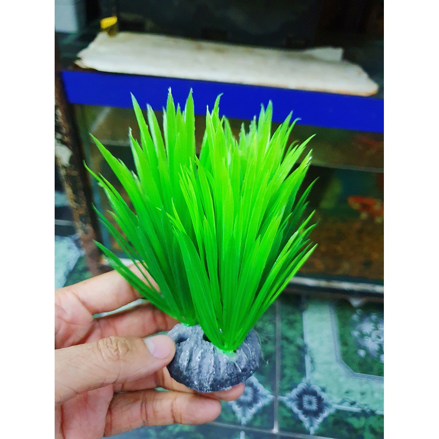 RONG TRANG TRÍ HỒ CÁ NON BỘ CAO 10CM