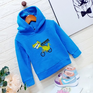 Áo nỉ bông (hoodie)