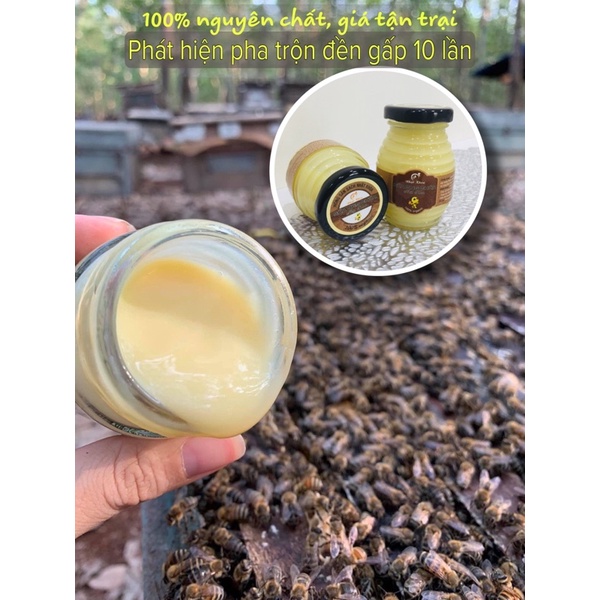 Sữa ong chúa tươi 100% đạt ATTP. Combo 3 hũ
