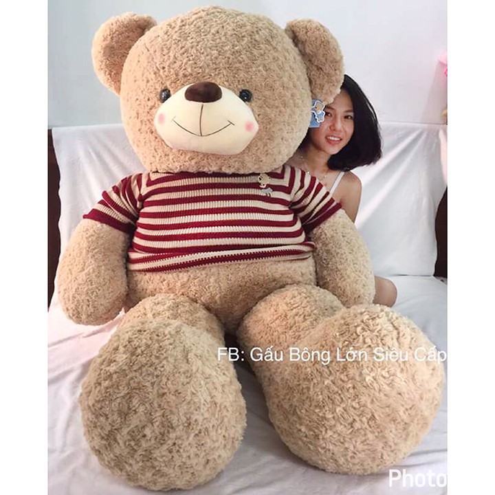 [Hoàn 50K Xu] Gấu Bông Teddy cỡ lớn Khổ vải 1m8 cao 1m6 hàng cao cấp