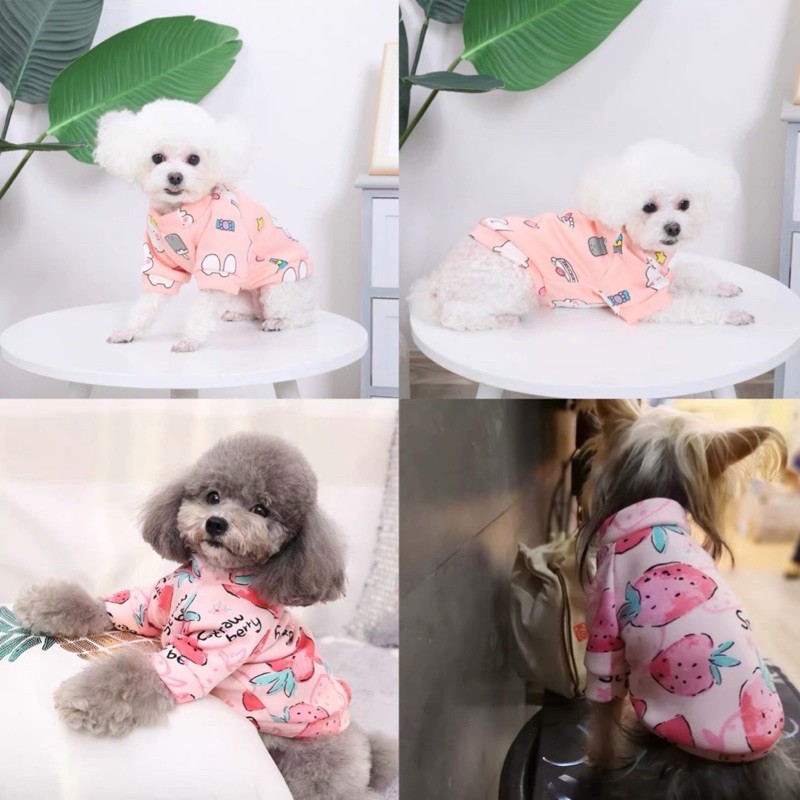 Áo nỉ new trend cho chó mèo