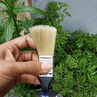 cọ cán đen thanh bình 25mm
