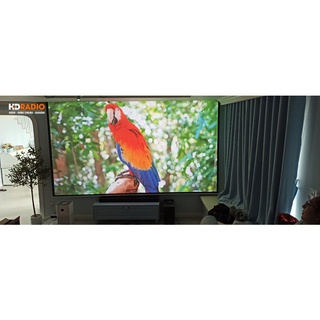 Máy chiếu Optoma HD29H