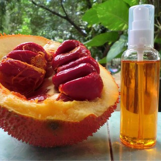 Dầu gấc handmade - dưỡng da mịn màng, sáng khoẻ