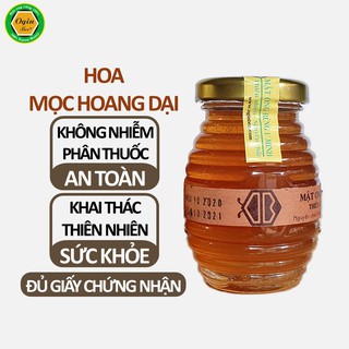 Mật ong ruồi quý hiếm, Khai thác CHUẨN THIÊN NHIÊN 100%, Lọ thủy tinh 100ml, OGINBÊ
