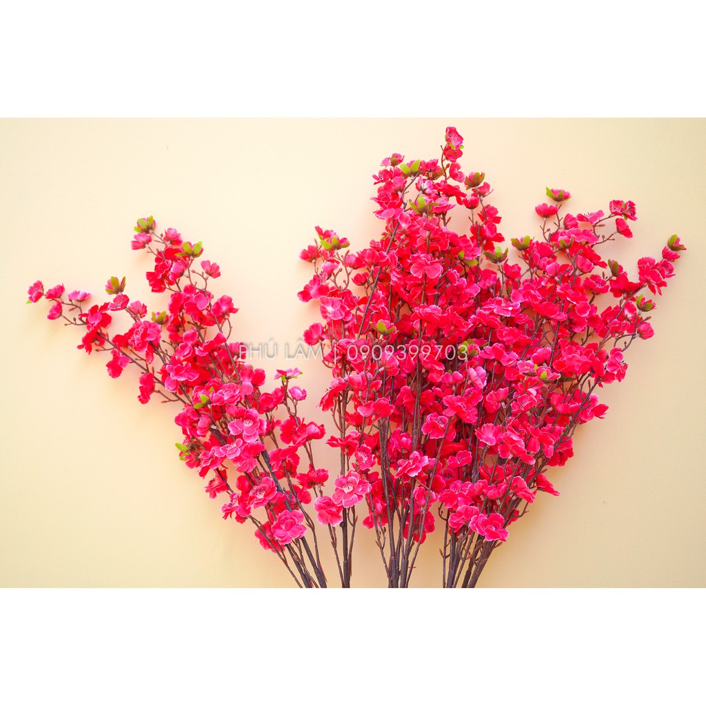 [HCM] 01 CÀNH MAI ĐÀO LÁ - CAO 1m - TRANG TRÍ TẾT LOẠI ĐẸP