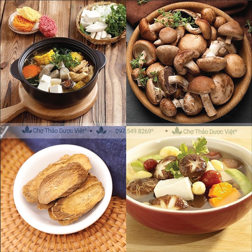 Combo ngưu báng, nấm đông nguyên liệu nấu canh dưỡng sinh cô bồi bổ sức khỏe - Chợ Thảo Dược Việt