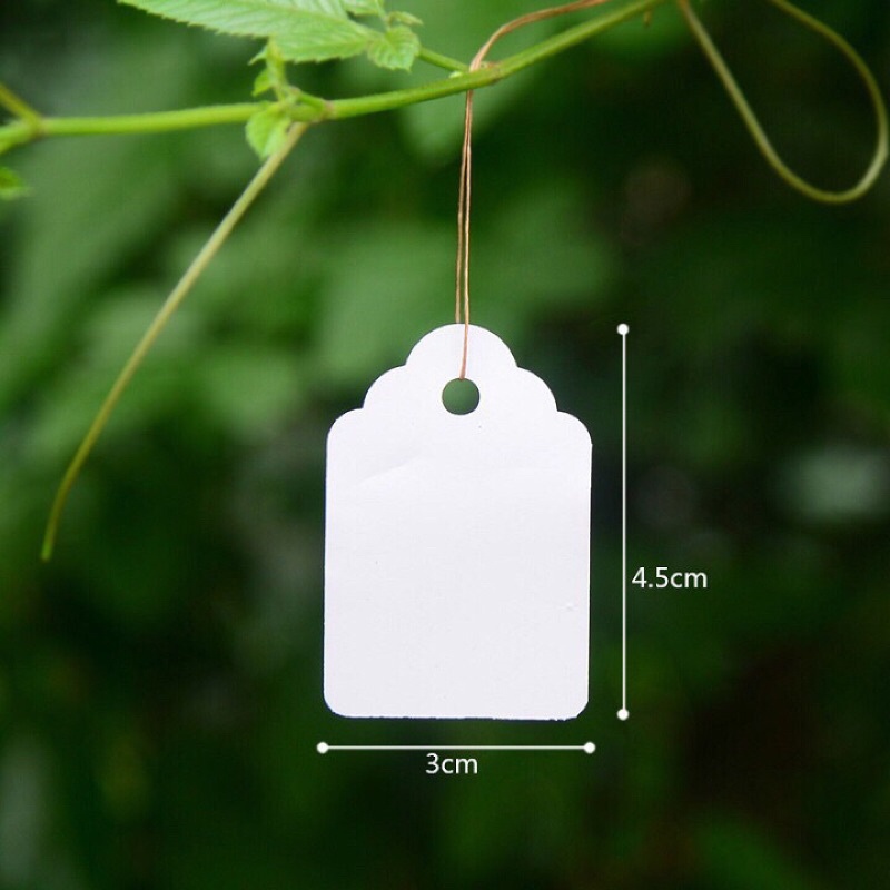 Set 100 thẻ  dây treo ghi tên cây trồng 3.6x2.5cm, 4.5x3cm, 6x4cm