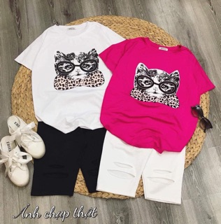 Sét áo mèo quần legging