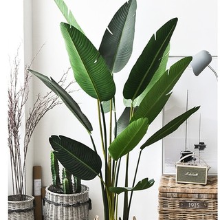 Cây chuối cảnh giả 1m6