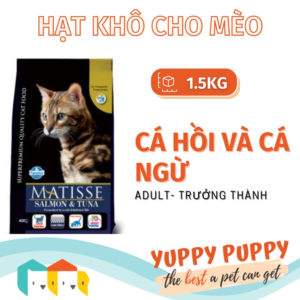 Farmina  hạt PRIME ANCESTRAL MATISSE Cá hồi & cá ngừ cho mèo trưởng thành & mèo con