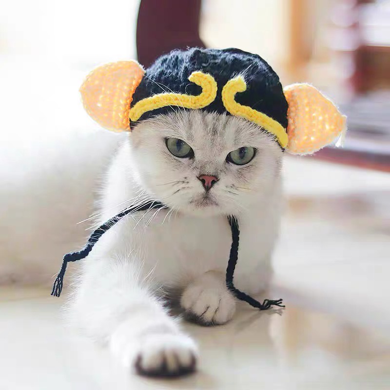Mũ cosplay trư bát giới Tây Du Ký, mũ len handmade cho chó mèo CHILLMEOW