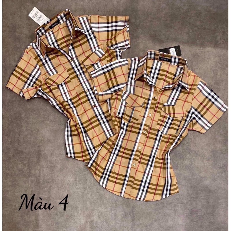 Sơ mi brr bigsize 55-90kg | BigBuy360 - bigbuy360.vn