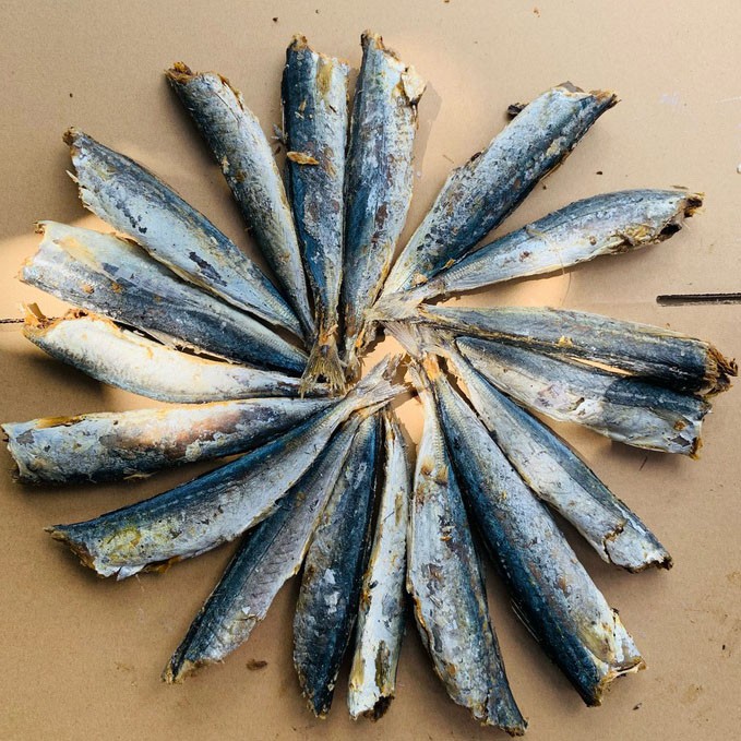 Khô cá nục ngon, cá nục 1 nắng thơm ngon, thịt mềm ngọt, cá béo núc ních chế biến món gì cũng ngon