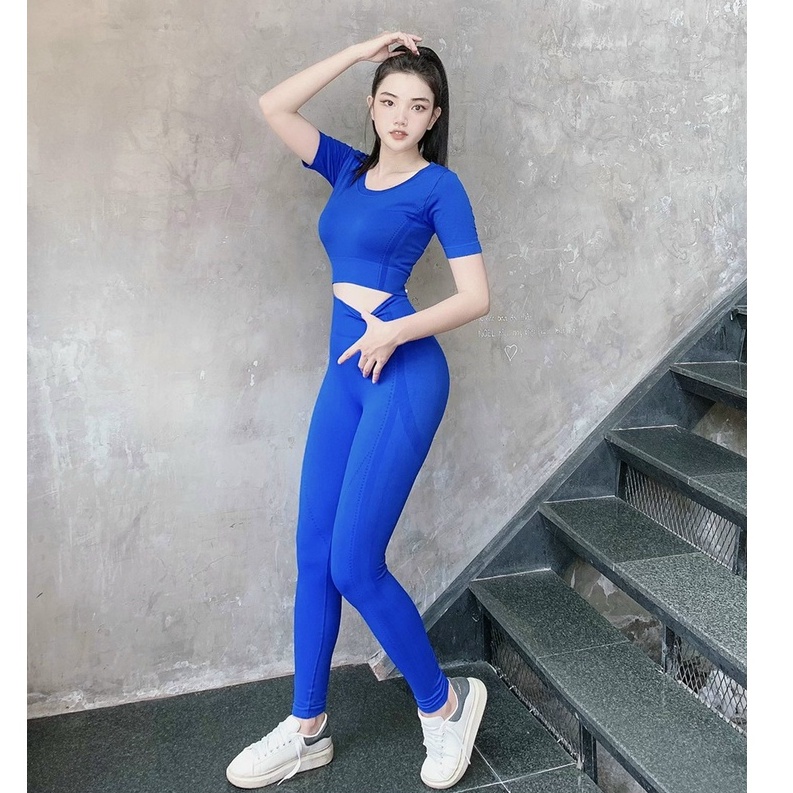 Set đồ tập gym yoga thể thao nữ dệt kim áo crop quần dài cao cấp hàng nhập Bin Sports BD159