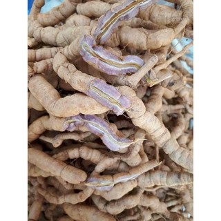 sỉ toàn quốc ba kích tím tươi 500g - 1kg