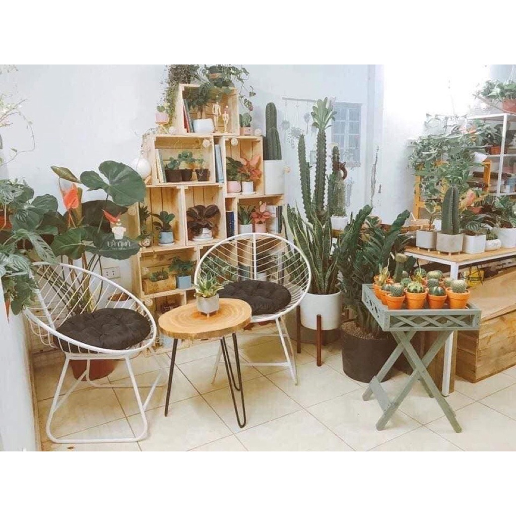 - Ghế nón sắt kèm đệm ngồi