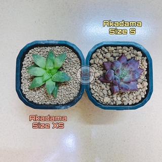 Đất Sét nung Akadama