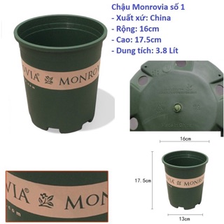 Chậu Nhựa MoNoViA 1gl Kèm Đĩa