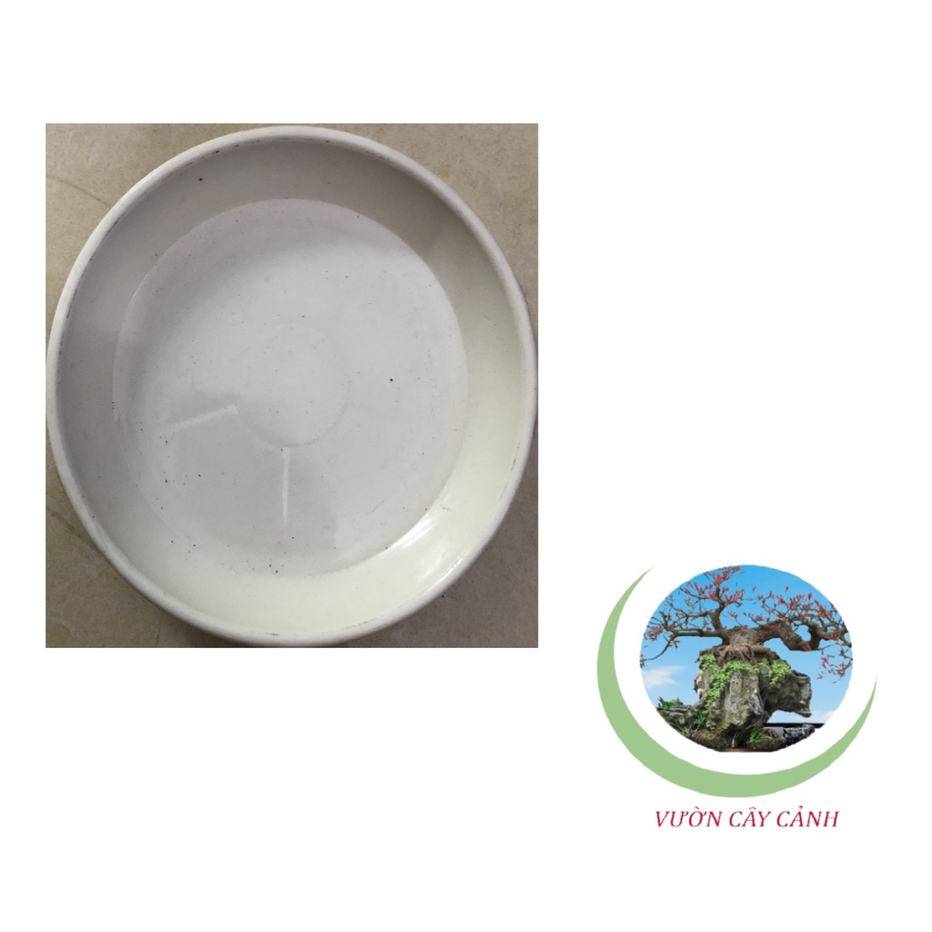 Đĩa lót chậu tròn Phi 12cm - #039D#
