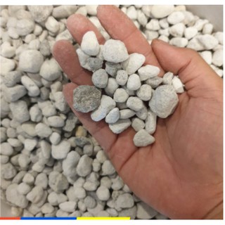 Seachem matrix 1 lít - vật liệu lọc cao cấp cho bể cá