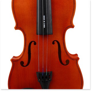 Đàn Violon, Violin Vines V35