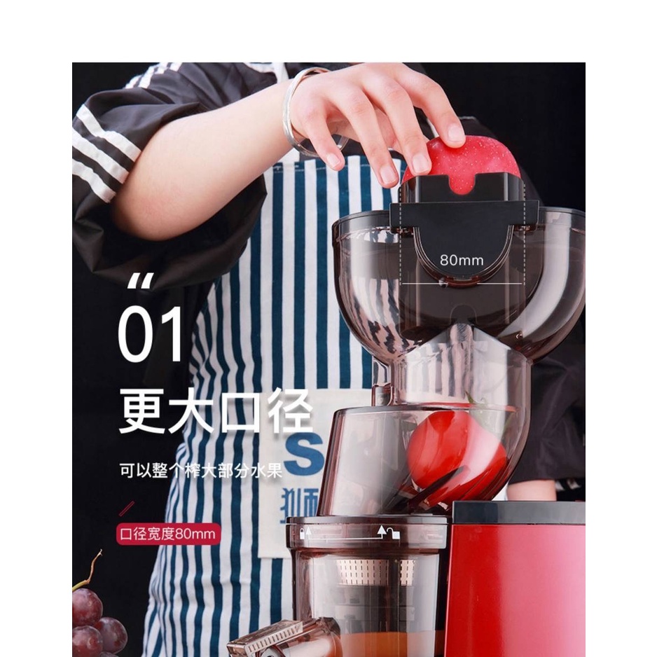 Máy Ép Chậm, Máy Ép Trái Cây Vắt Trái Cây Rau Củ SAVTM A09 - LAVITA