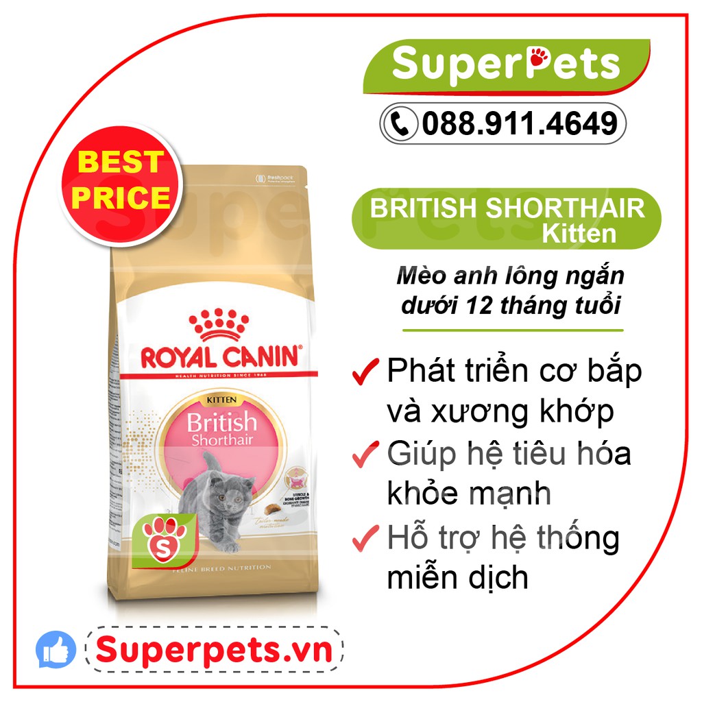 Thức Ăn Cho Mèo British Shorthair Persian Kitten Adult Royal Canin Chính Hãng Nhập Pháp SUPERPETS VIỆT NAM