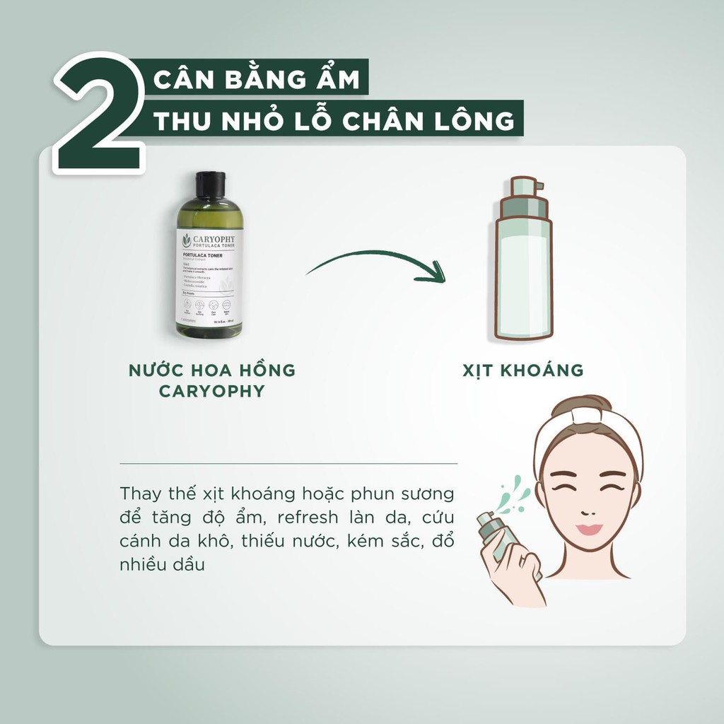 Nước hoa hồng dưỡng da Caryophy Portulaca 300ml | BigBuy360 - bigbuy360.vn