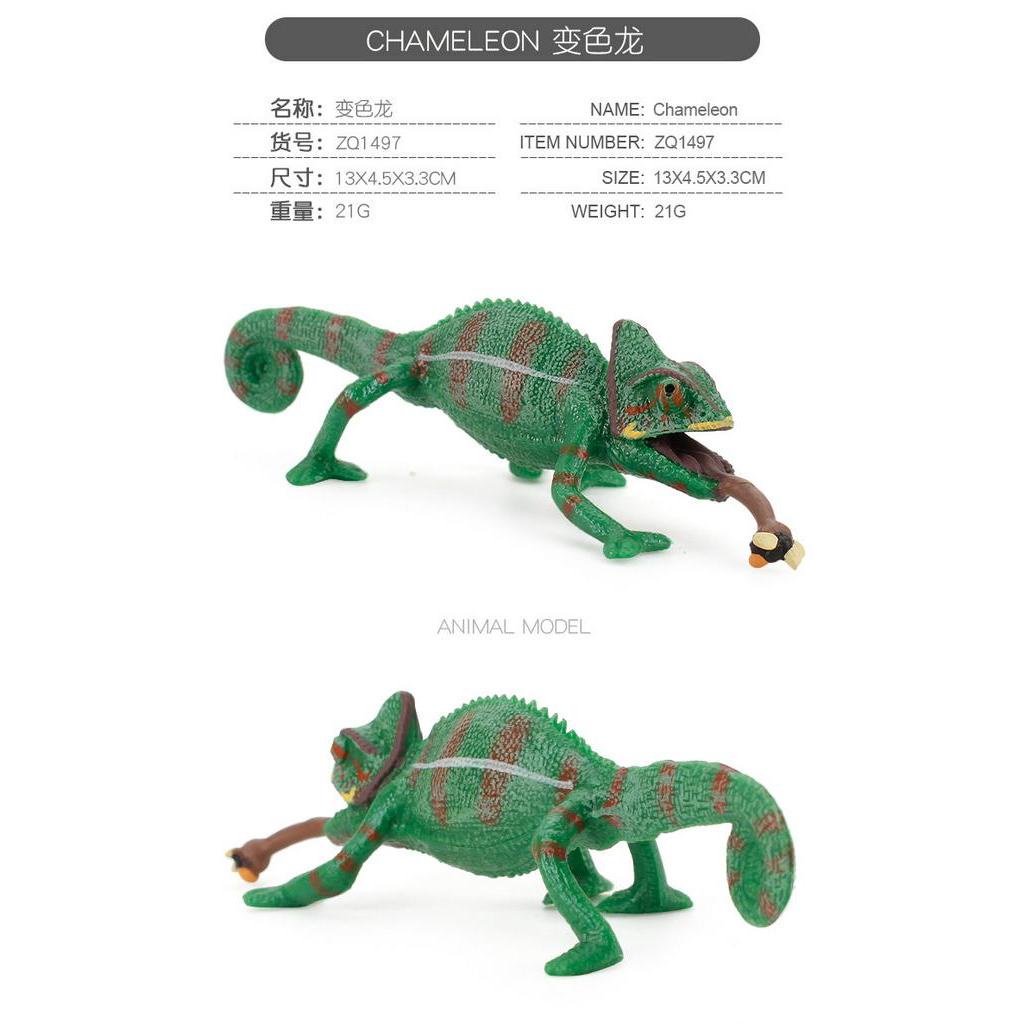 Mô hình kết hợp tắc kè hoa thằn lằn độc đáo