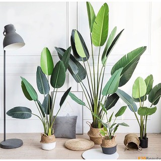 Cây chuối Singapore giả cao cấp Luxury ( cao 120cm, 160cm , 180cm, 205 cm) - F20Beauty - Phong cách hiện đại