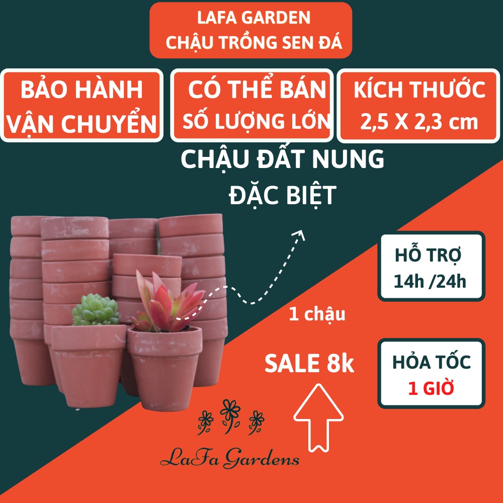 Chậu trồng sen đá đất nung 1 cái LAFA GARDEN, đặc biệt chuyên trồng cây sen đá