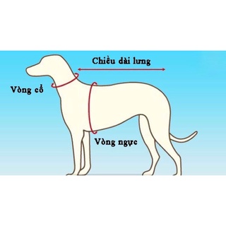 Áo Thun Ba Lỗ Cho Chó Mèo - Sushi
