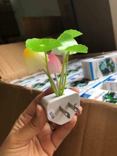 Đèn ngủ nấm cảm ứng