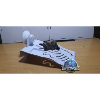 Máng Leo Dán Hồ cho Rùa (Nhỏ - 20x12cm)