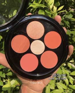 Phấn má hồng ODBO THÁI LAN