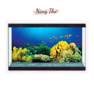 DECAL DÁN HỒ CÁ_THIÊT KẾ NÀNG THƠ